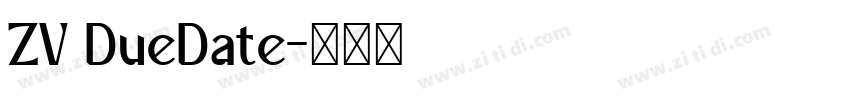 ZV DueDate字体转换